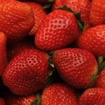 Strawberry, Albion 4 in