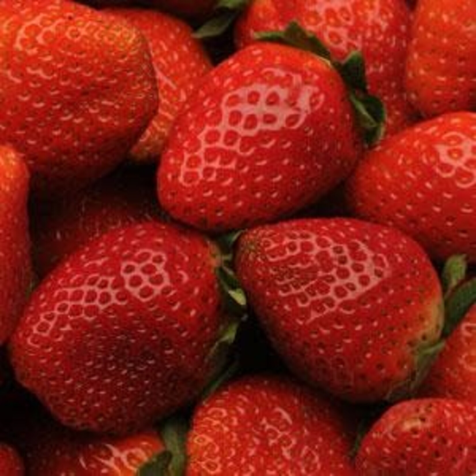 Strawberry, Albion 4 in