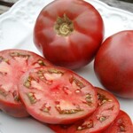 Tomato, Tasmanian Chocolate 4 in