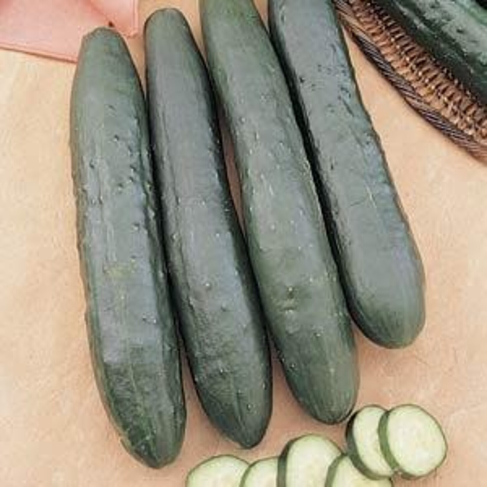 Cucumber, Burpless Supreme 4 in