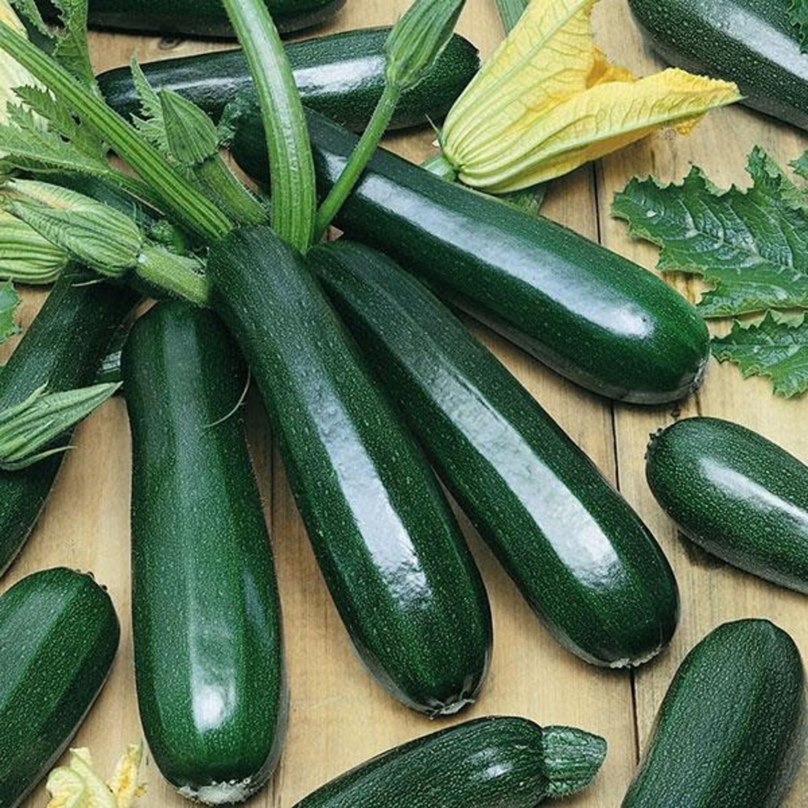 Zucchini, Dark Green 4 in