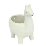 Pot, Llama White 2.5 in