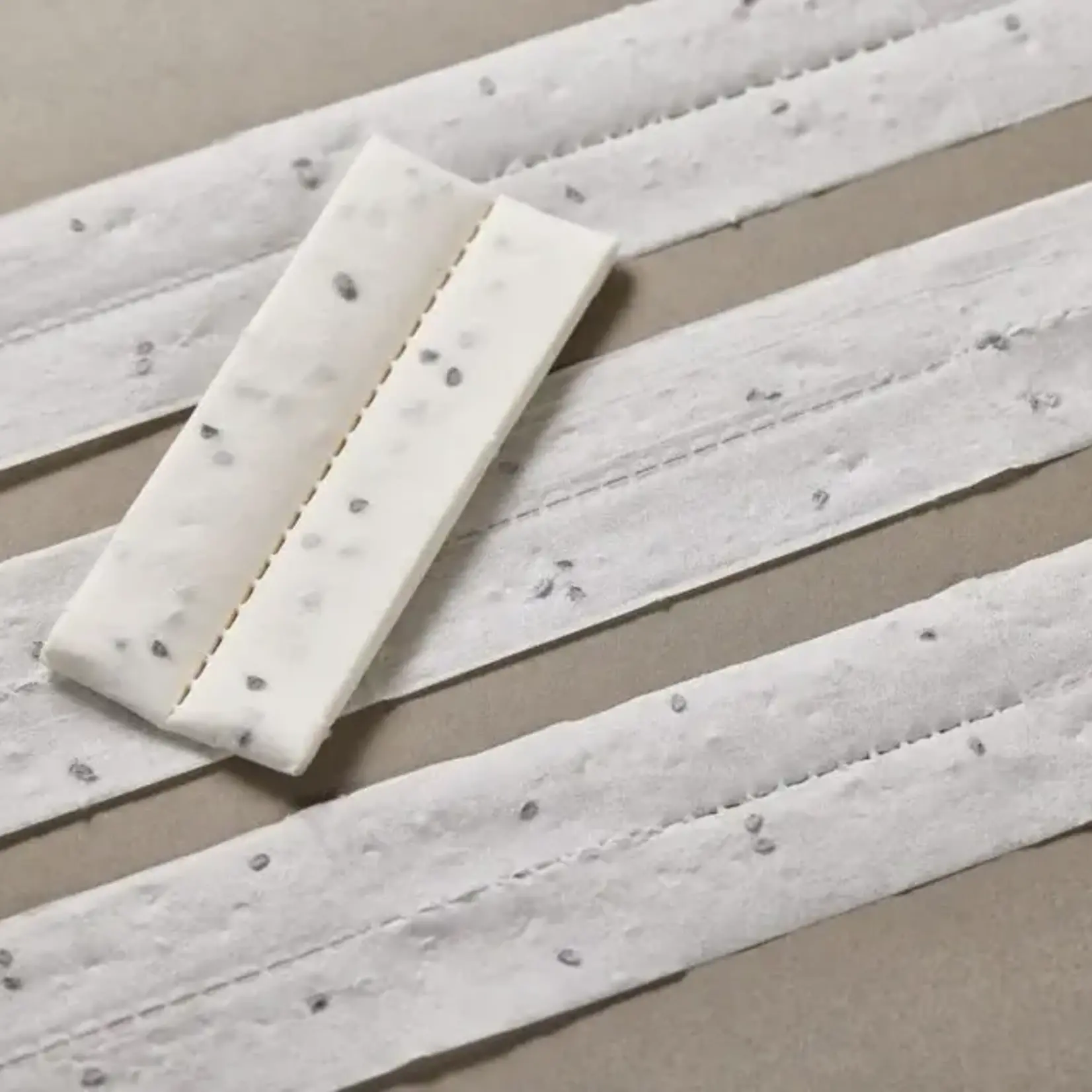 Seeds, Carrots Scarlet Nantes Seed Tape 2x2.5m (West Coast Seeds)