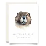 Card, Cause Dam!