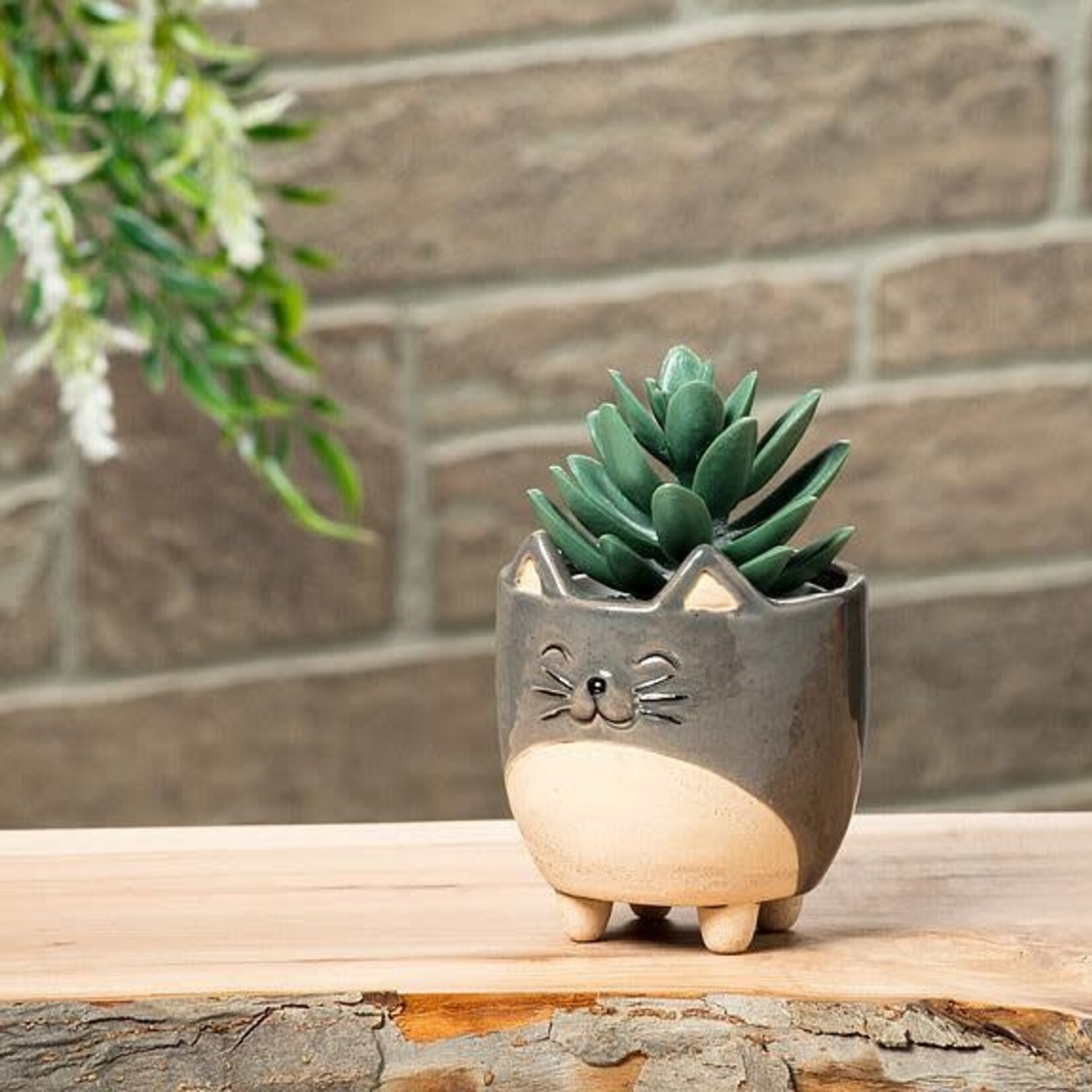 Potcover, Grey Cat 3 in