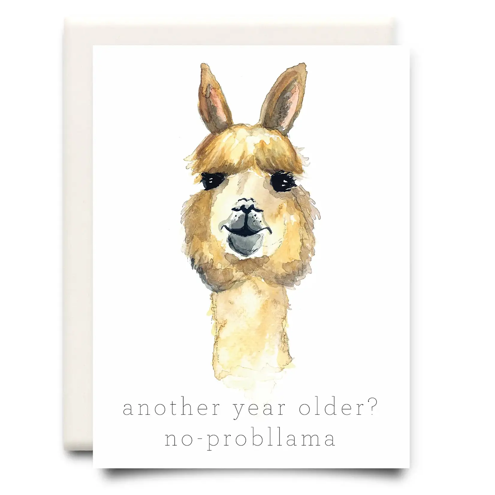 Card, No Probllama
