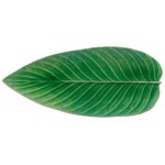 Plate, Riviera Tomate Strelizia Leaf 15 in
