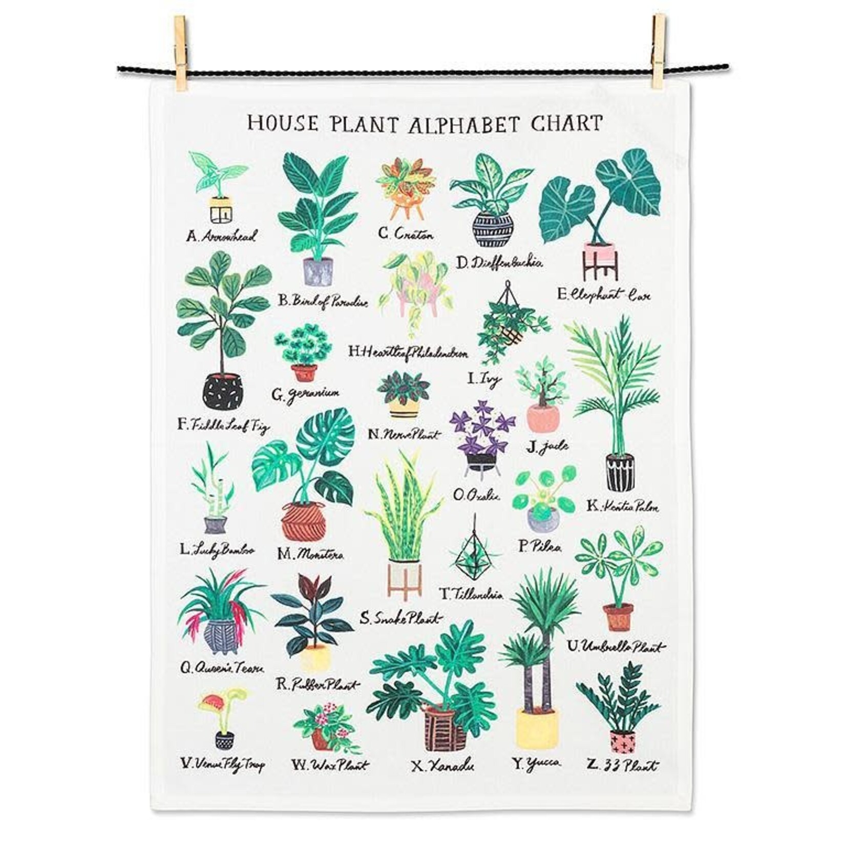 Tea Towel, Plant Alphabet 20x28 in