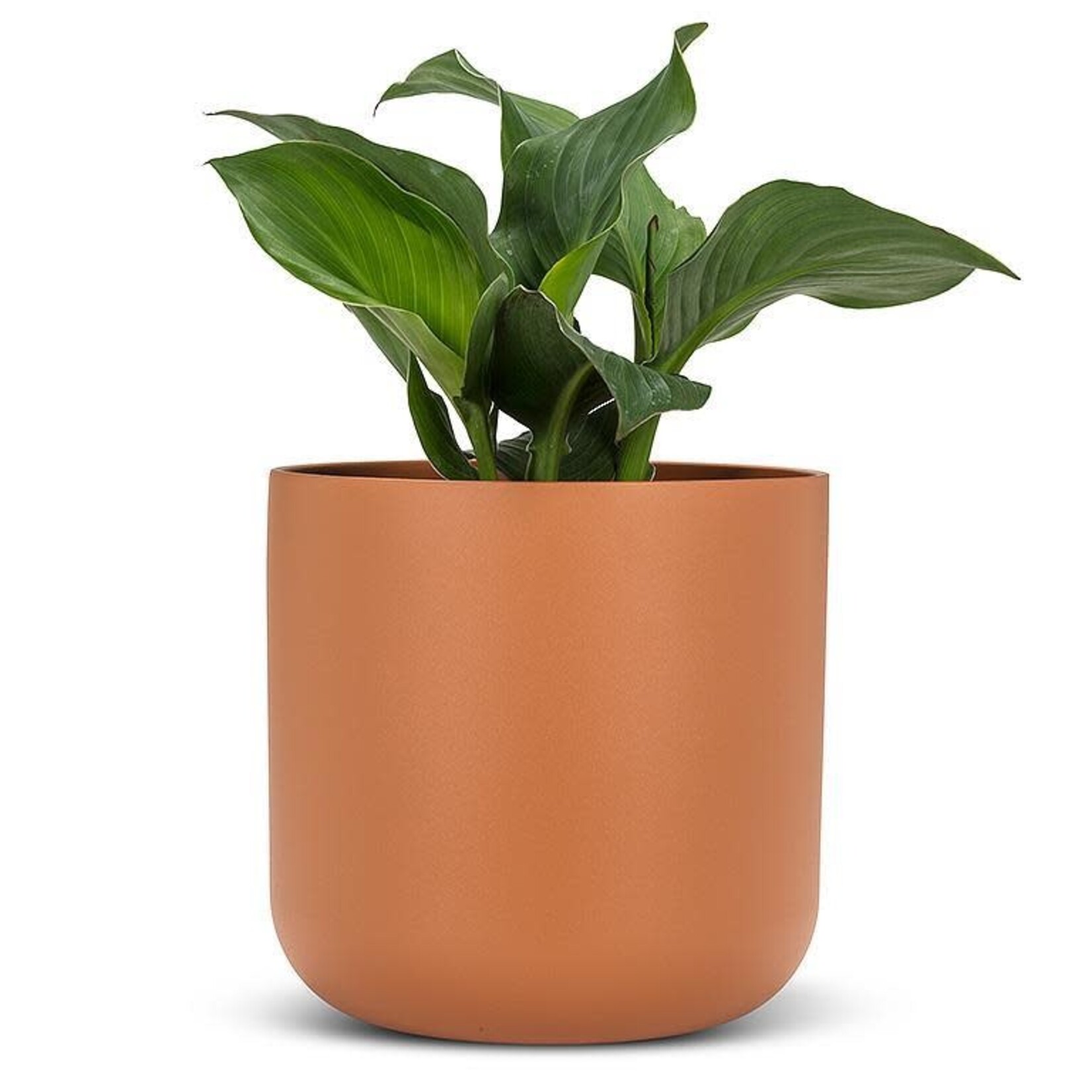 Planter, Classic Terracotta 9 in