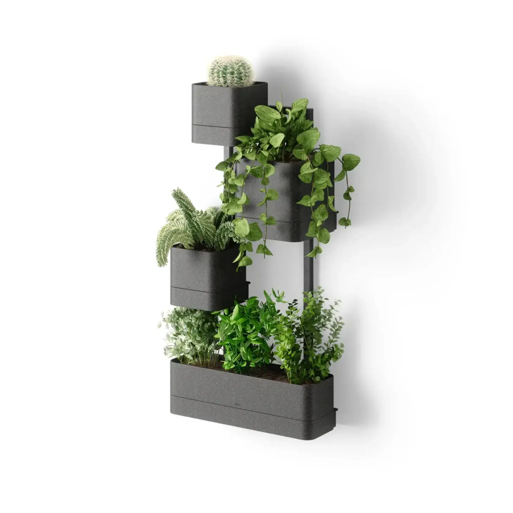 Wall Planter, Cubiko Black