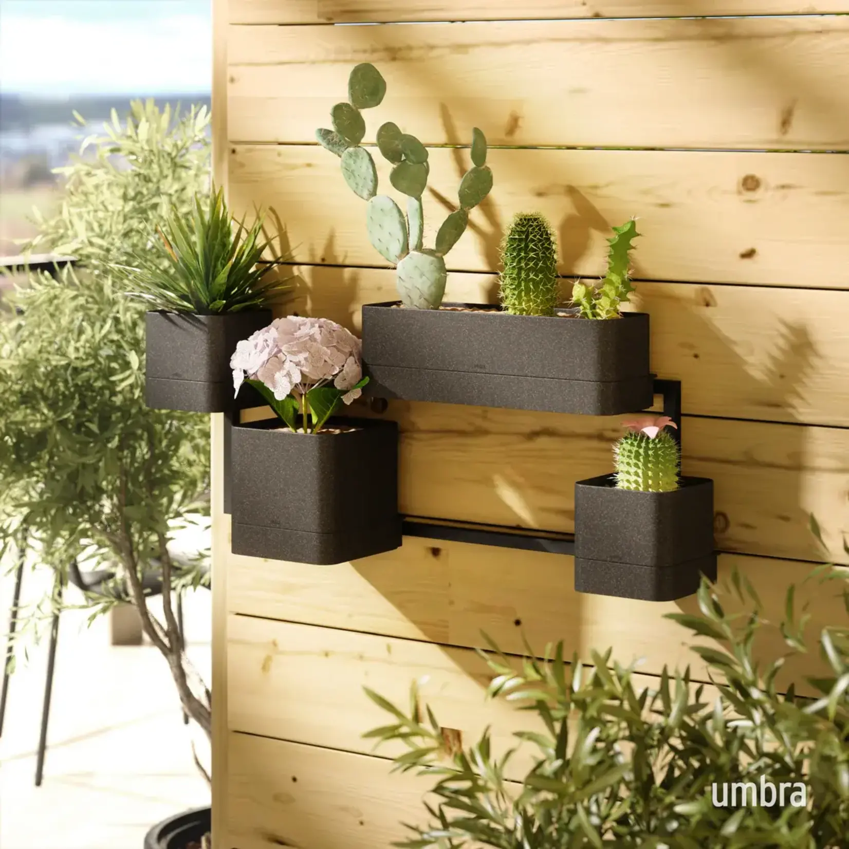 Wall Planter, Cubiko Black