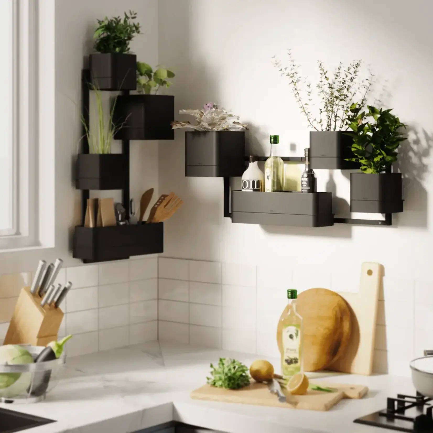 Wall Planter, Cubiko Black