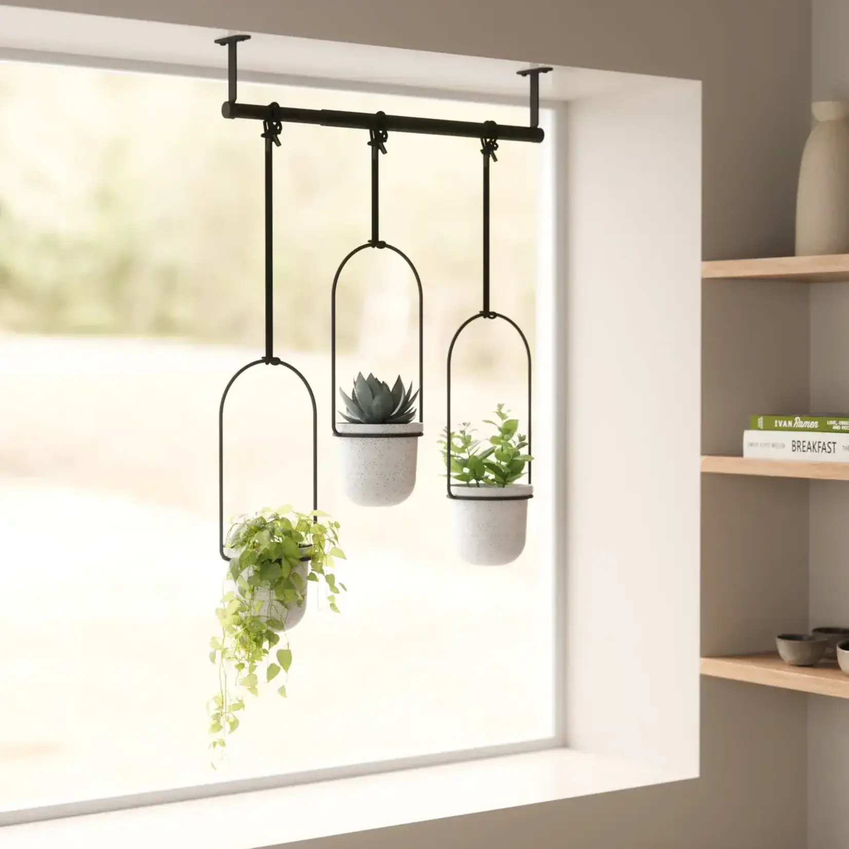 Planter, Hanging Triflora
