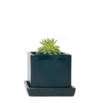 Pot, Cube w/s Green Blue 3 in