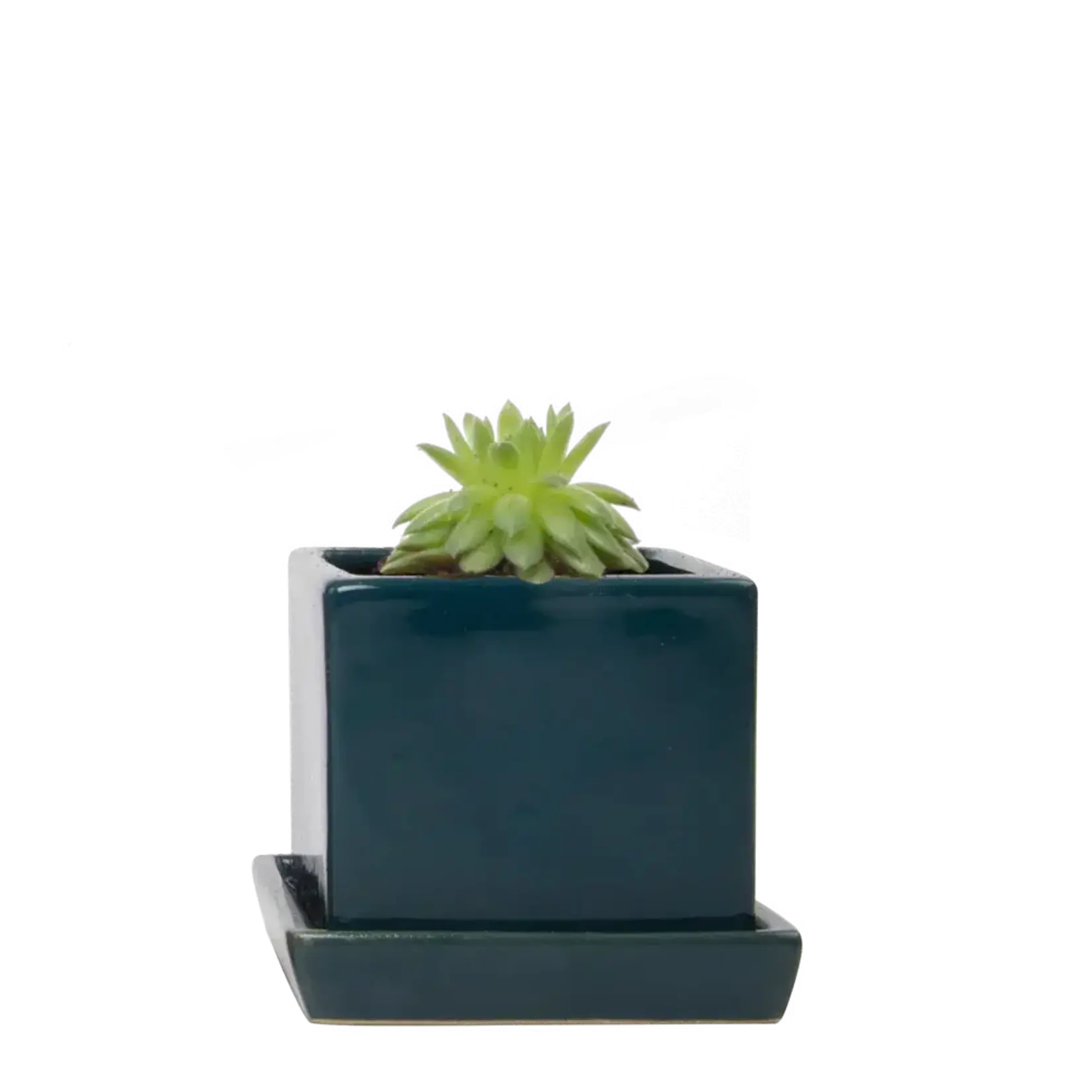 Pot, Cube w/s Green Blue 3 in