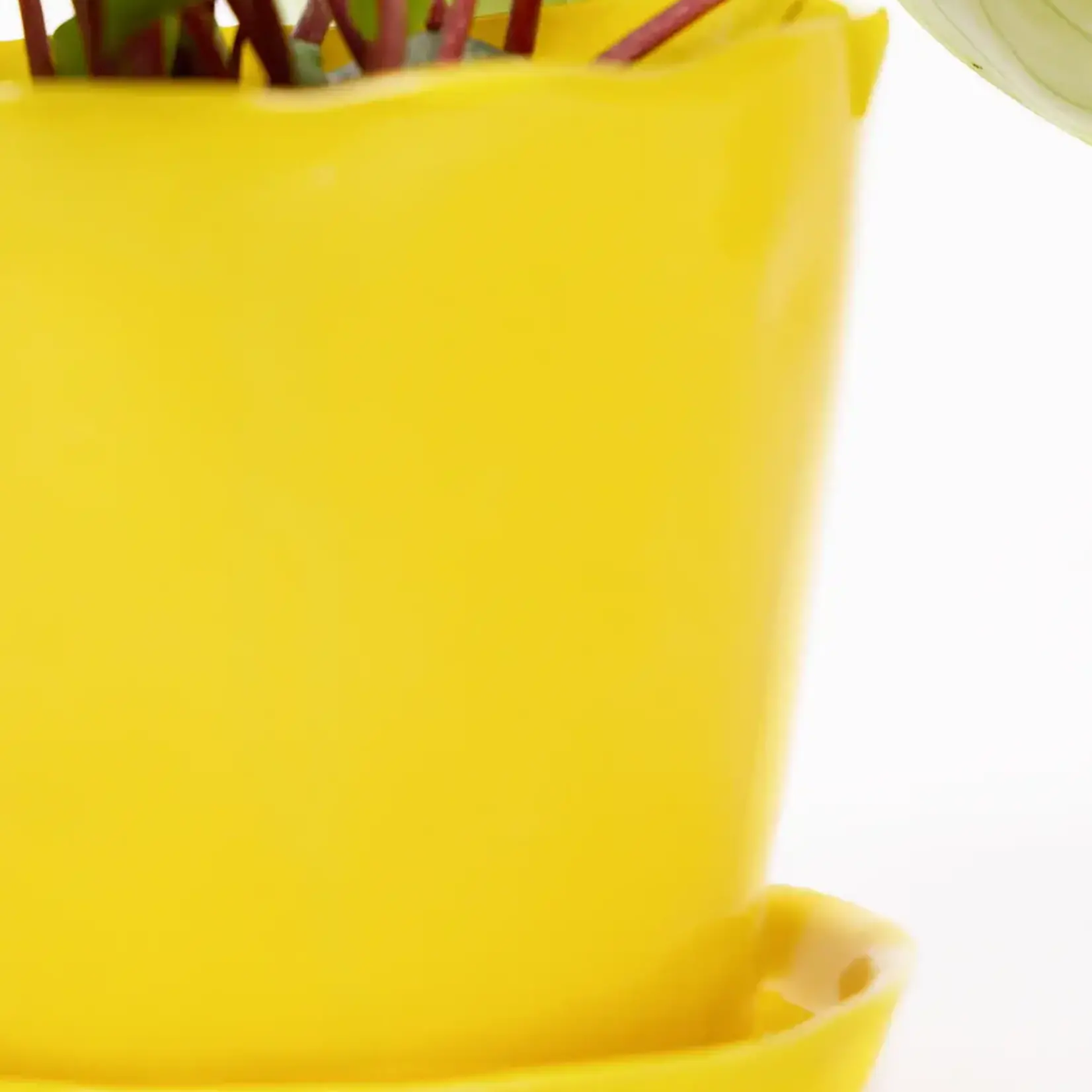 Pot, Tika w/s Meadowlark Yellow 5 in