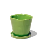 Pot, Tika w/s Greenery 5 in