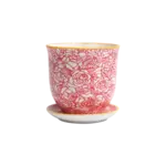 Pot, Liberte w/s 4.25in Red Roses