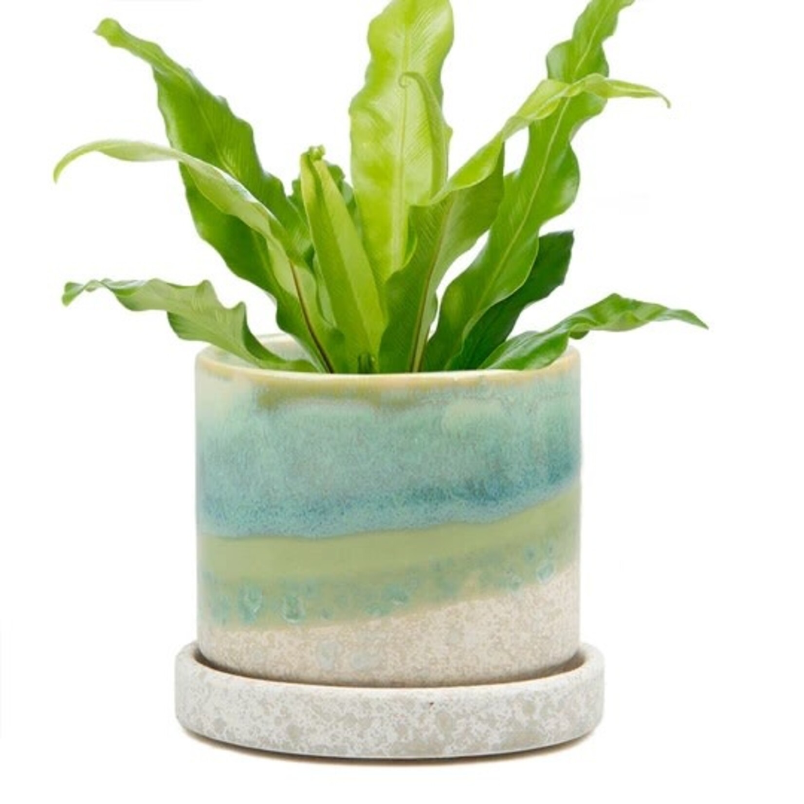 Pot, Sea Green w/s
