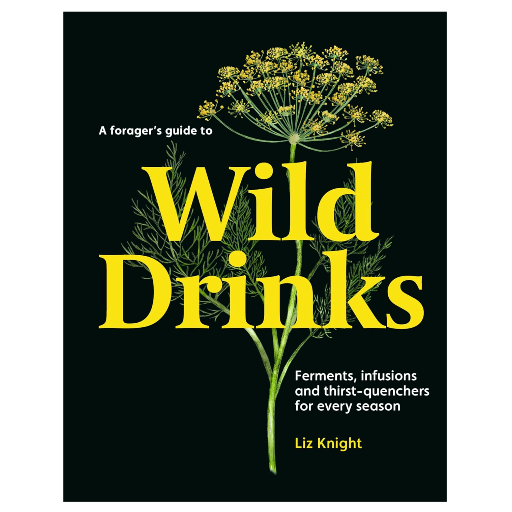 Book, A Foragers Guide to Wild Drinks
