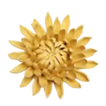 Ceramic Flower, Small Yellow Sarah Chrysanthemum