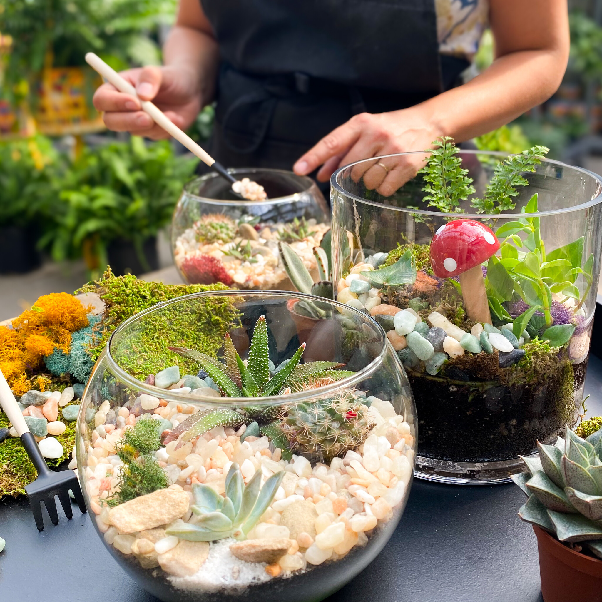 Terrific Terrariums