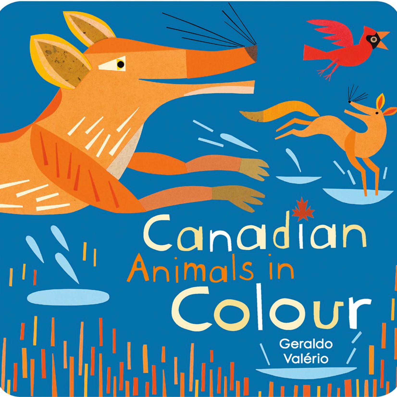 Book, Canadian Animals in Colour