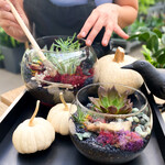 Workshop, Halloween Terrarium Arrangement Oct 30 2025 6:30PM