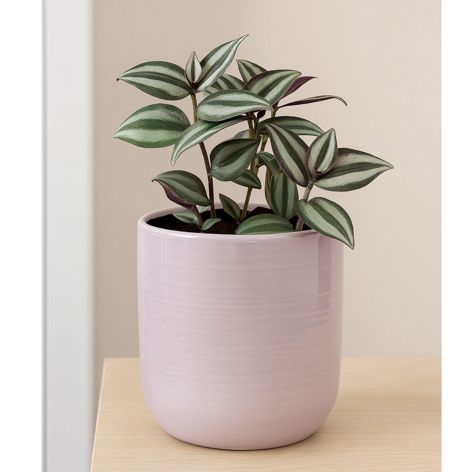Potcover, Lisa Violet Ceramic 4 in