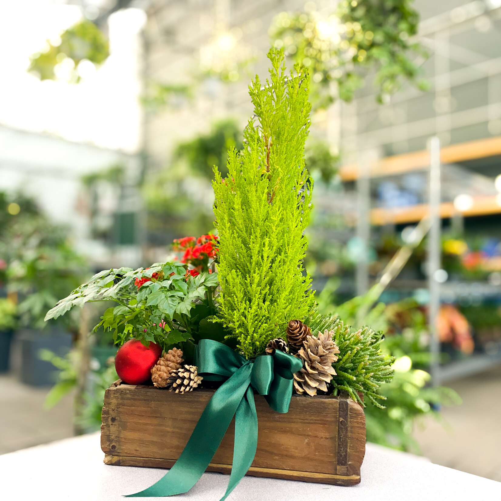 Workshop, Holiday Living Centerpiece Dec 11 2025 6:30PM
