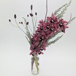 Orchid Arrangement