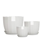Pot, Linnie White Round w/ Saucer