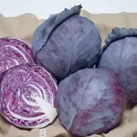 Seeds, Cabbage Ruby Ball Improved (West Coast Seeds)