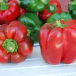 Seeds, Pepper King North (West Coast Seeds)