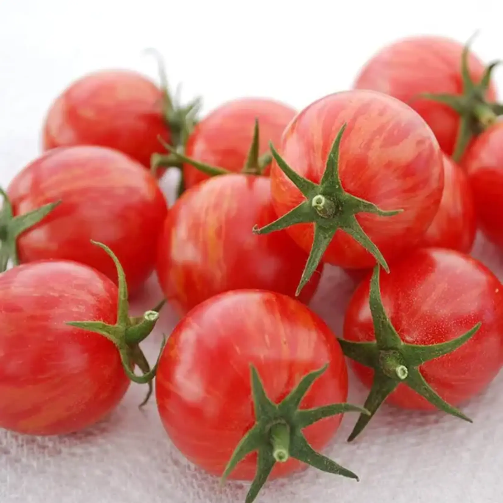 Seeds, Tomato Pink Bumblee Bee(West Coast Seeds)