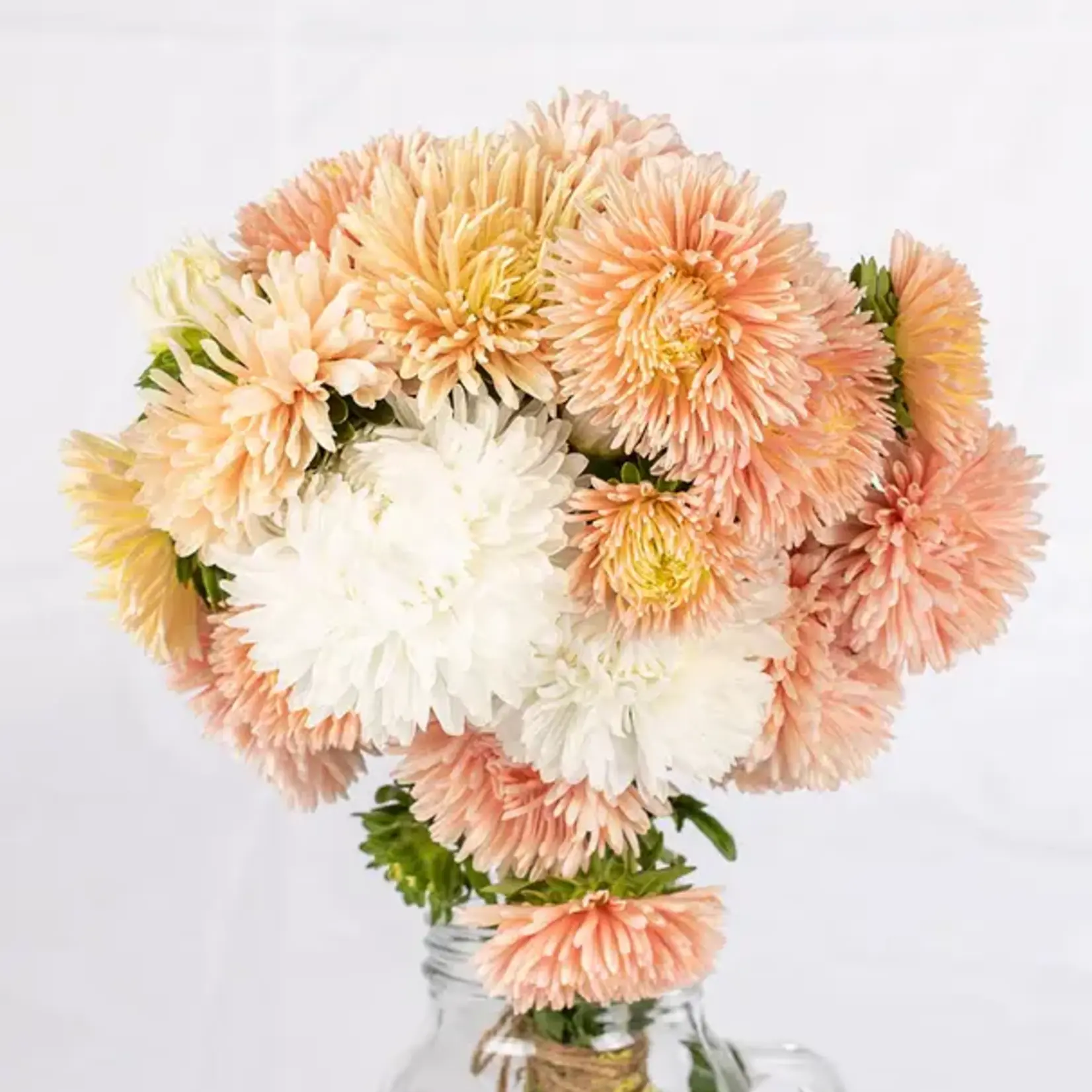 Seeds, Aster The Roses (West Coast Seeds)