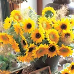 Seeds, Sunflower Sunrich Blend (West Coast Seeds)