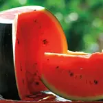 Seeds, Watermelon Sugar Baby (West Coast Seeds)