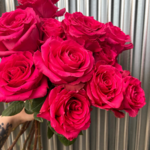 Cut Flower Bouquet 1 Dozen Roses