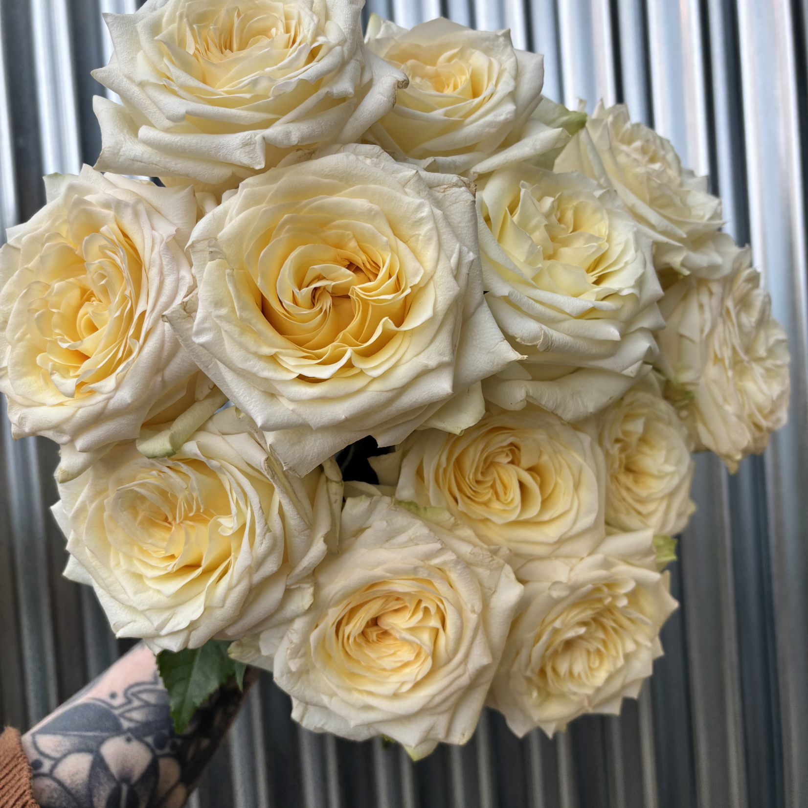 Cut Flower Bouquet 1 Dozen Roses