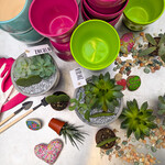 Workshop, Valentines Succulent Love Feb 12 2026 6:30 PM