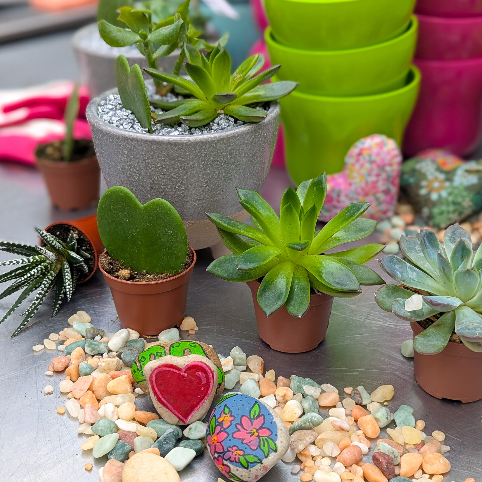 Workshop, Valentines Succulent Love Feb 12 2026 6:30 PM