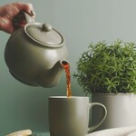 Teapot, Sage Classic 6-Cup