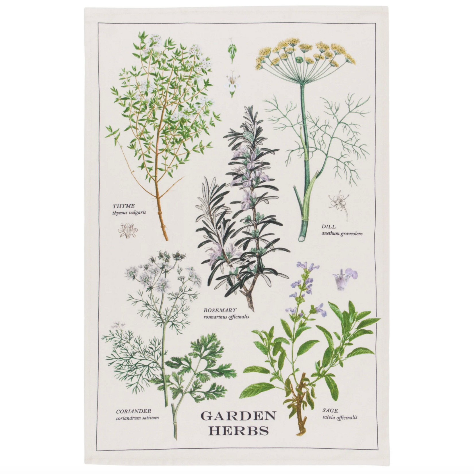 Tea Towel, Garden Herbs 18x28 in