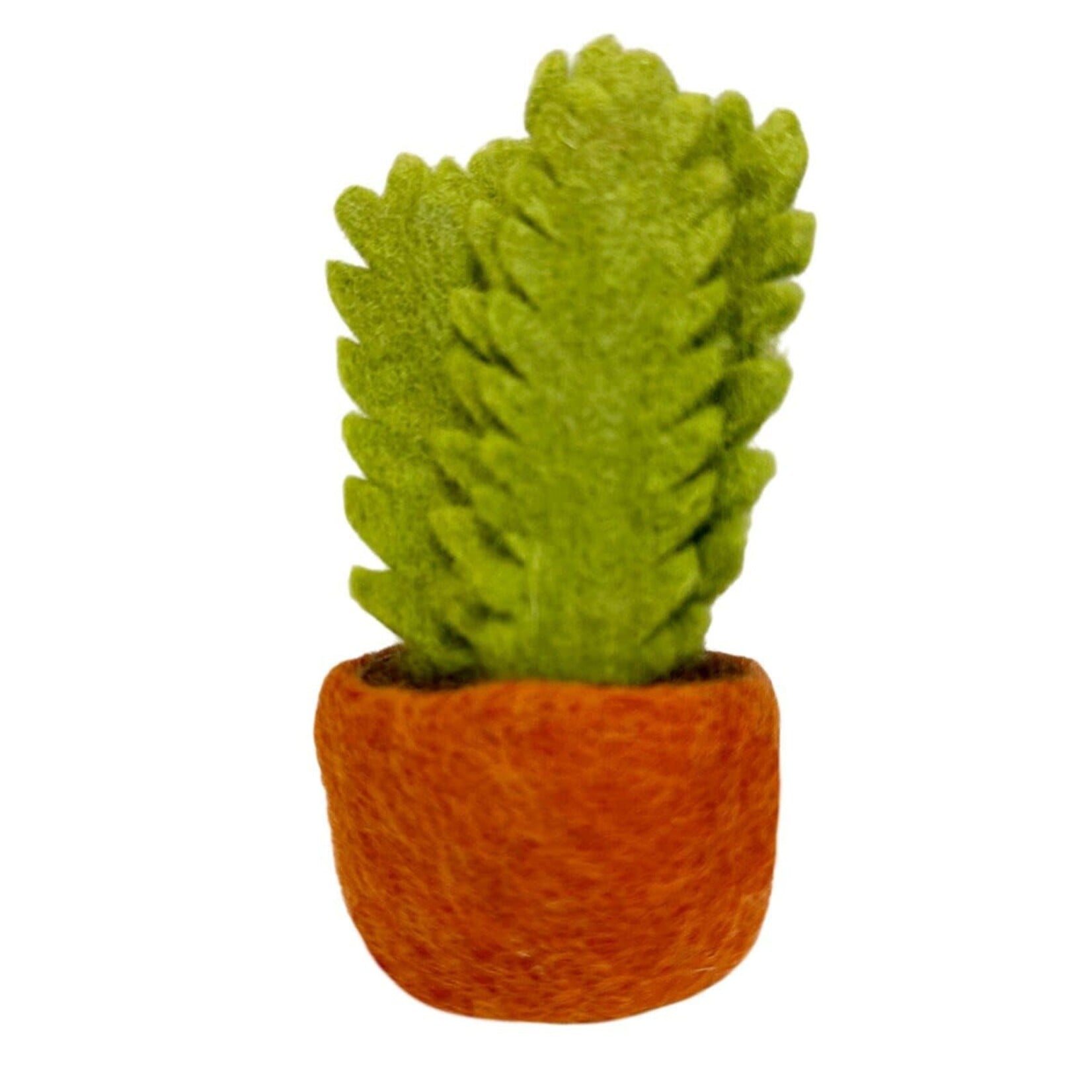 Plant, Felt Fern