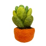 Plant, Felt Succulent