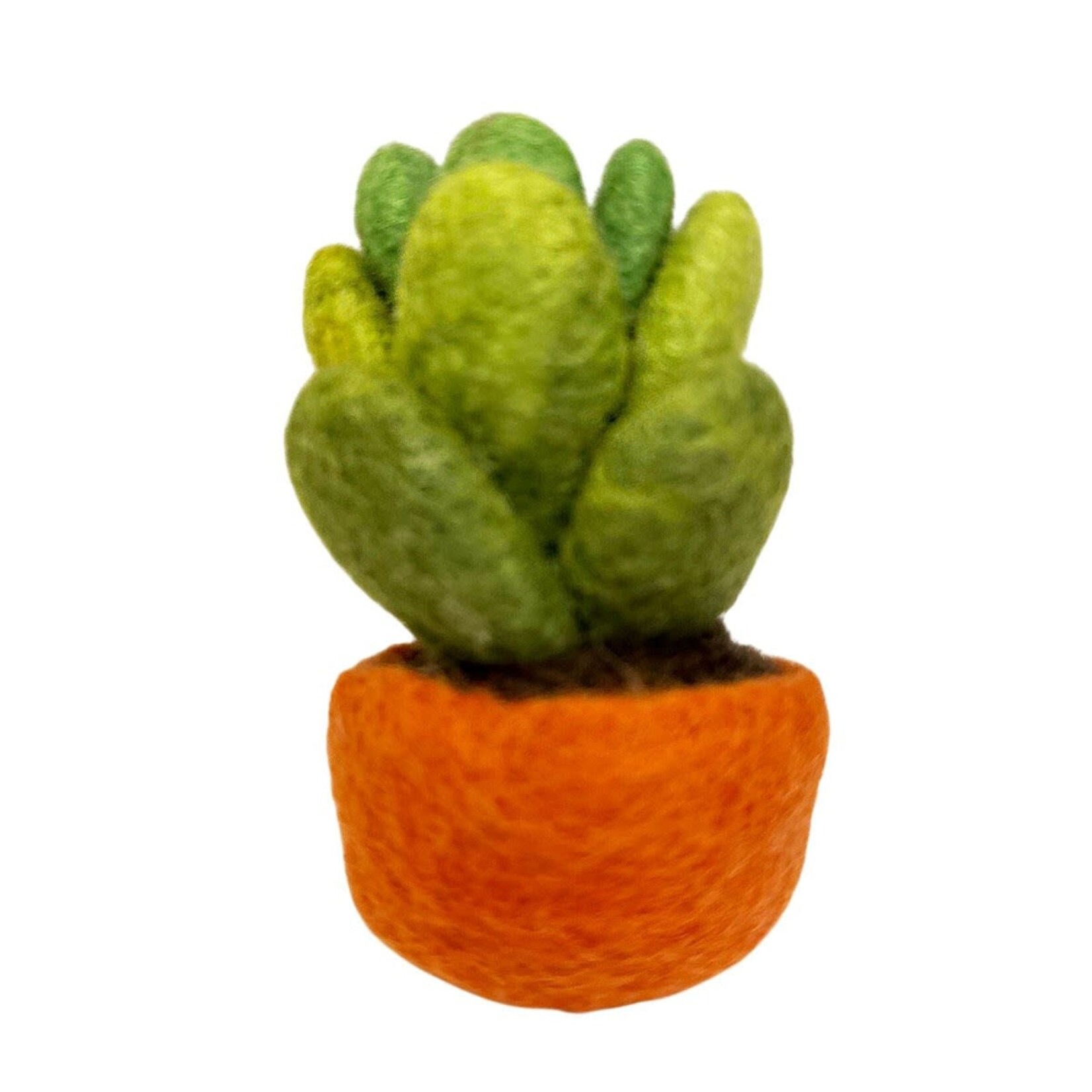 Plant, Felt Succulent