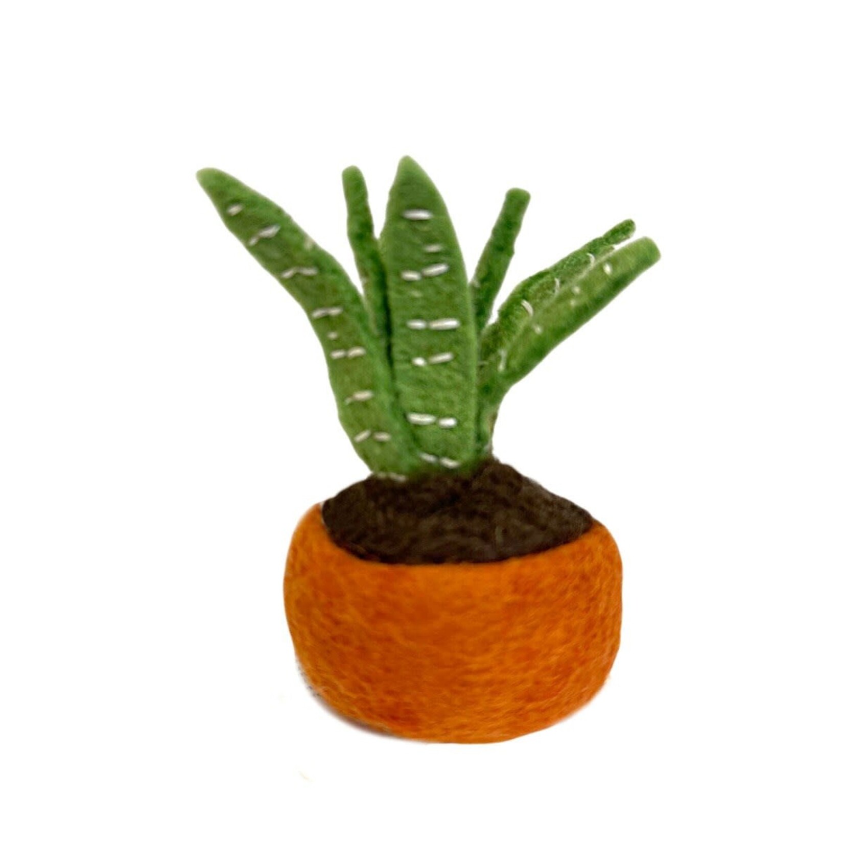 Plant, Felt Aloe Vera