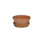 Pot, Terracotta Redstone Frilly Low 7in w/s