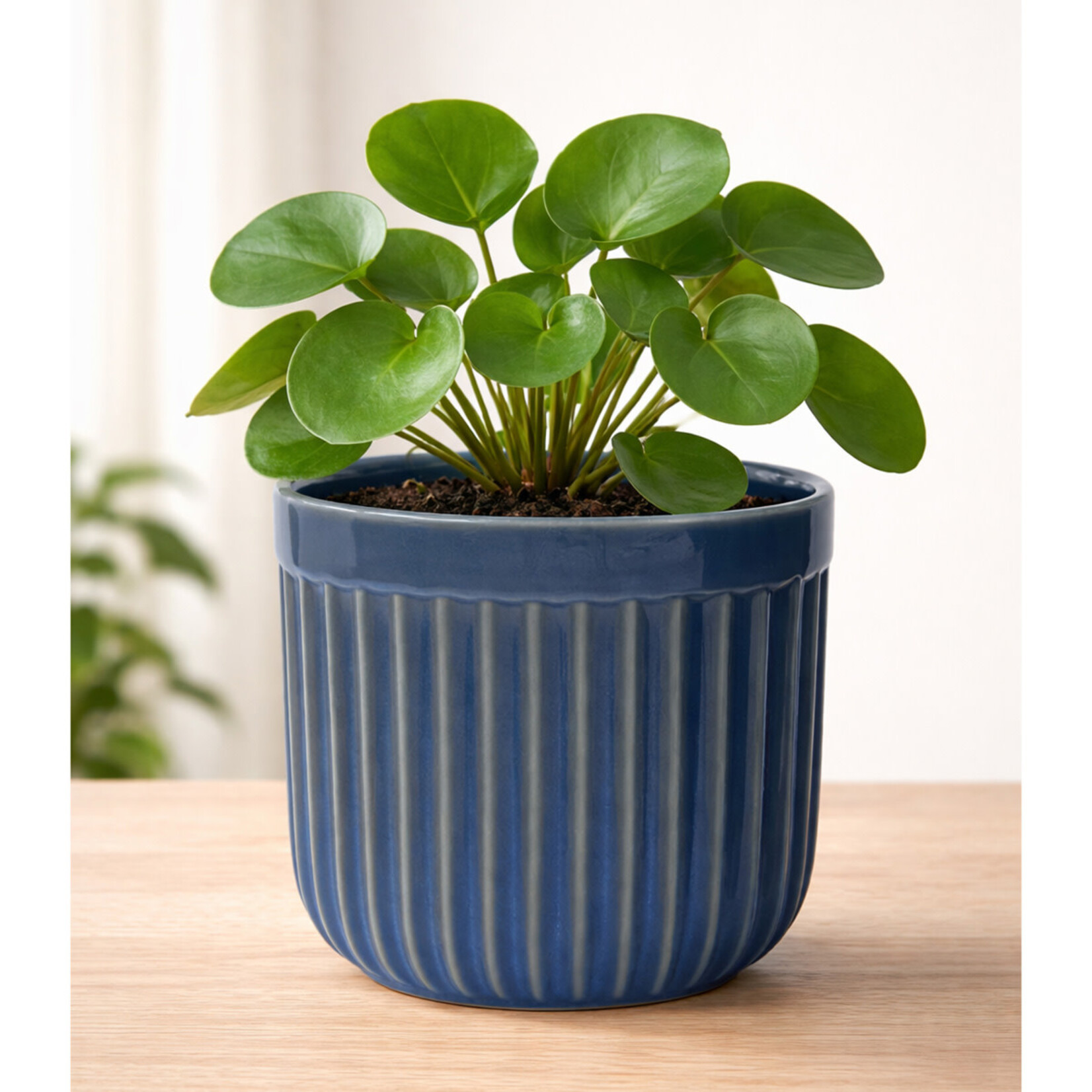 Potcover, Lyse Blue Lines Ceramic 6.75 in